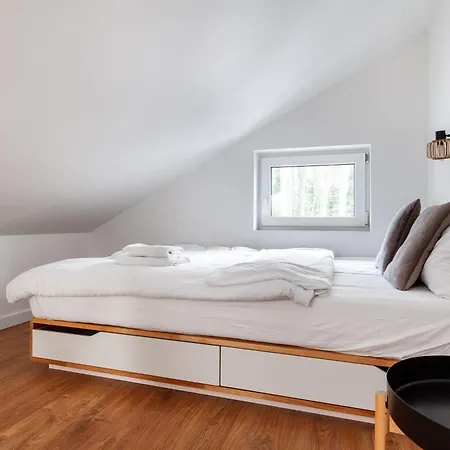 Papaj * Jastrzębia Góra